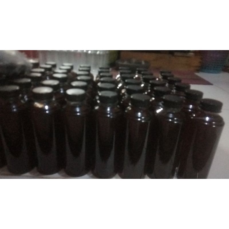 

exstra ketapang asli