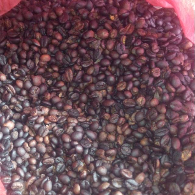 

Kopi robusta toraja asli 1kg