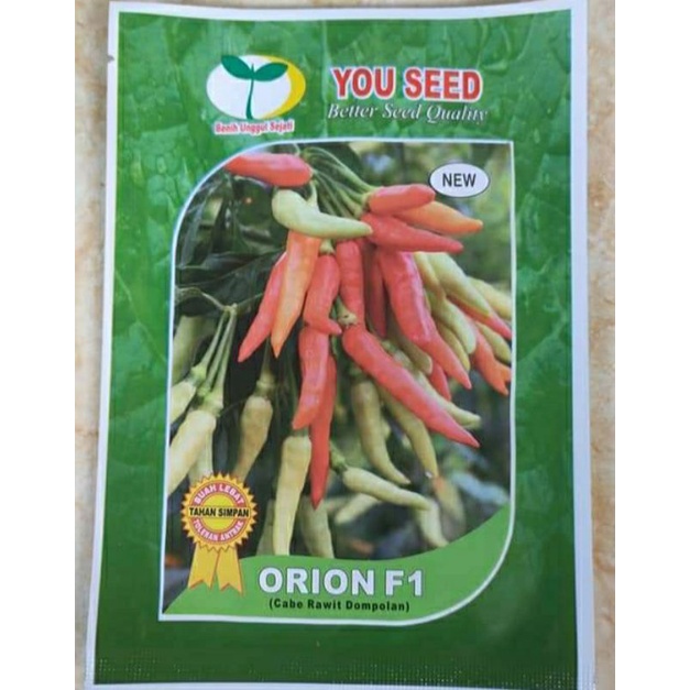 Cabai Rawit Orion F1