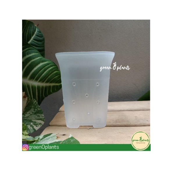 Pot NKT Kotak 8 Bening Berlubang