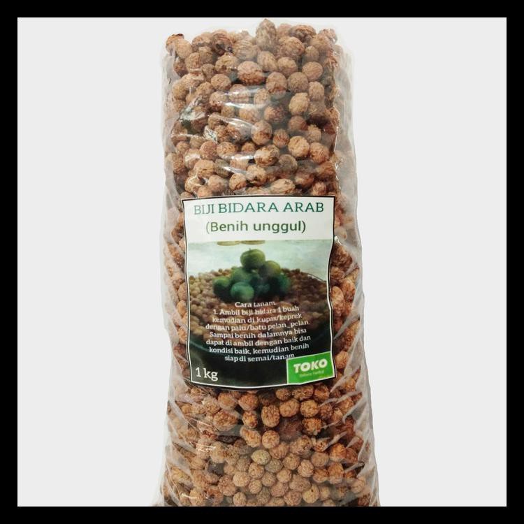 Biji Benih Bidara Arab 1 Kg