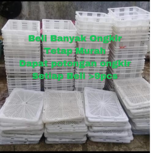 Kranjang Keranjang Buah Bekas Kelengkeng Murah