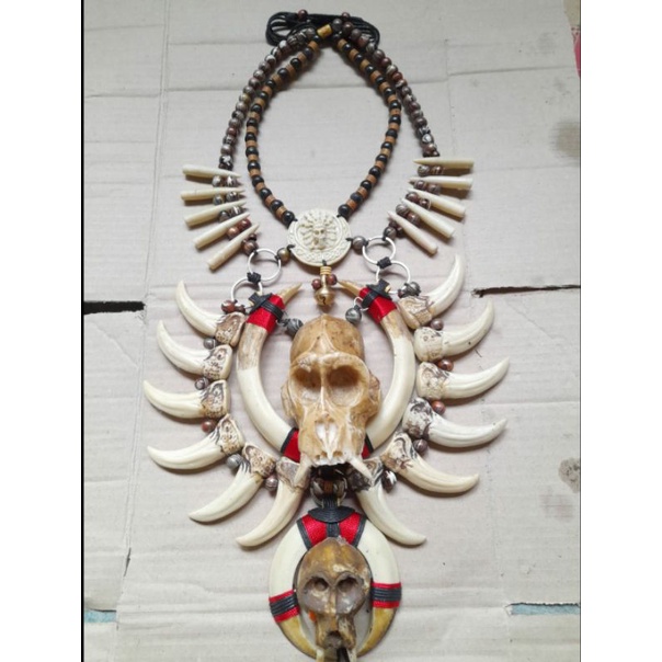 KALUNG TARING BABI ETNIK DAYAK KALIMANTAN