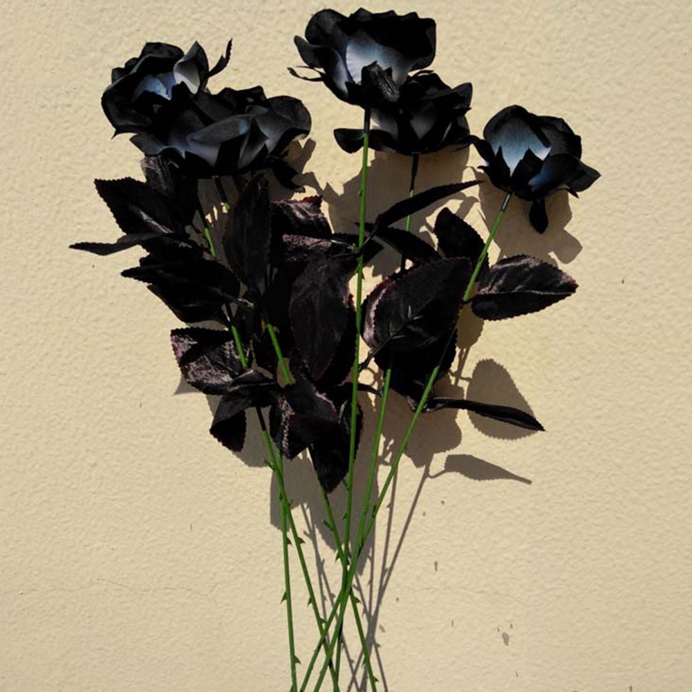 Paling Populer 12+ Bunga Mawar Aesthetic - Gambar Bunga HD