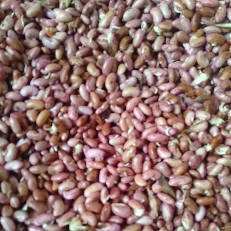 

Kacang Merah / Red Bean 250gram