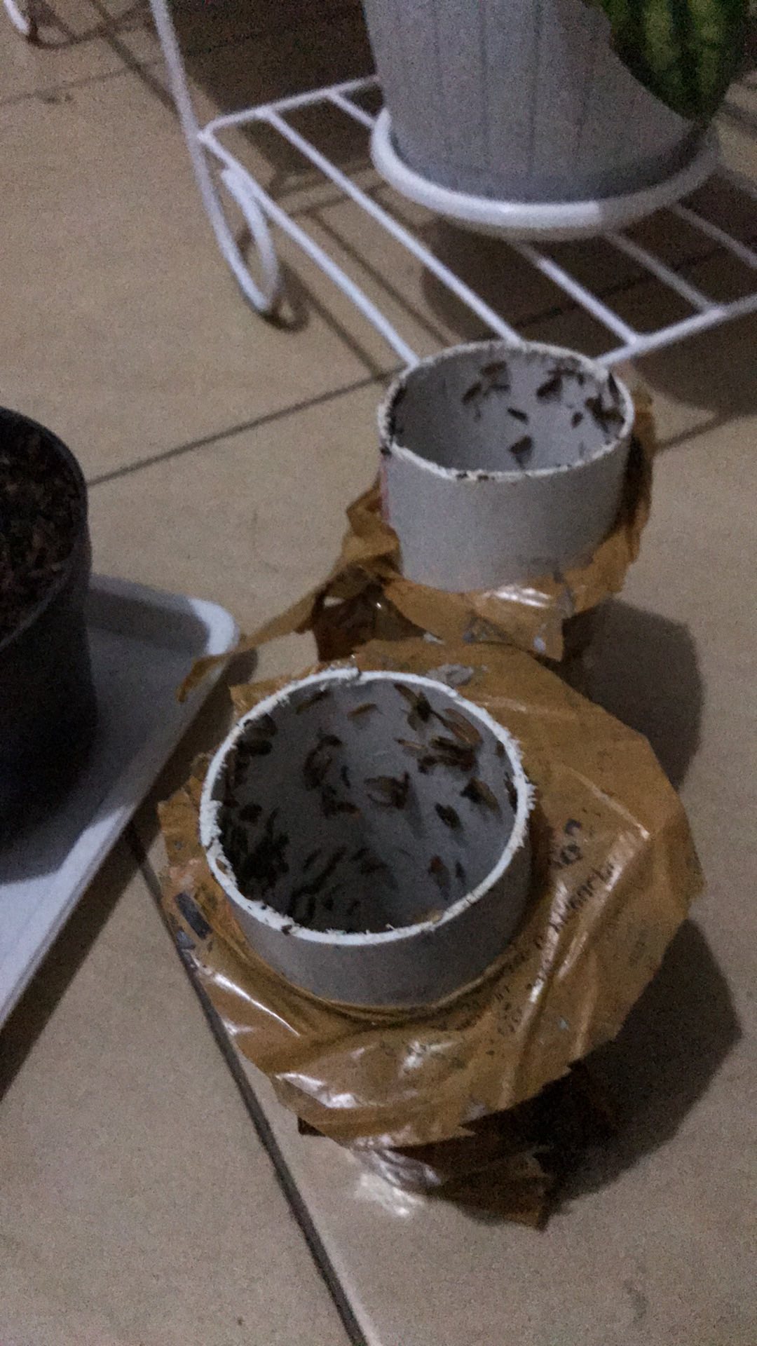 Tambahan Packing Paralon