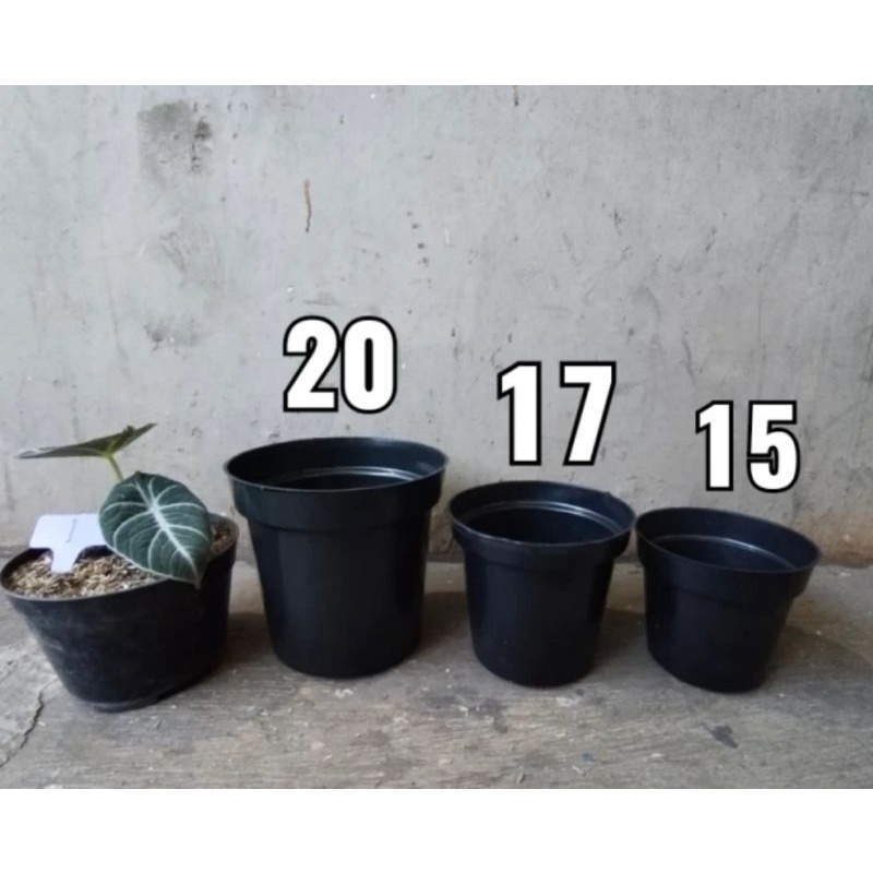 Pot tinggi srondol putih, hitam pot tinggi murah, pot 20,17,15
