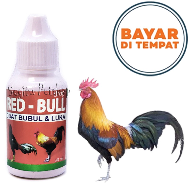 OBAT AYAM JAGO SAKIT LUKA BUBUL RED BULL