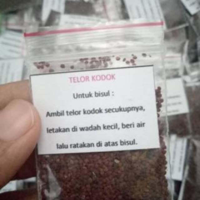 Telur kodok obat bisul