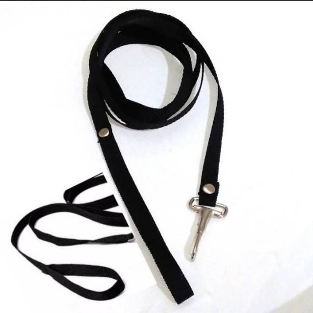 TALI Tuntun Kucing Anjing musang reptil  HEWAN