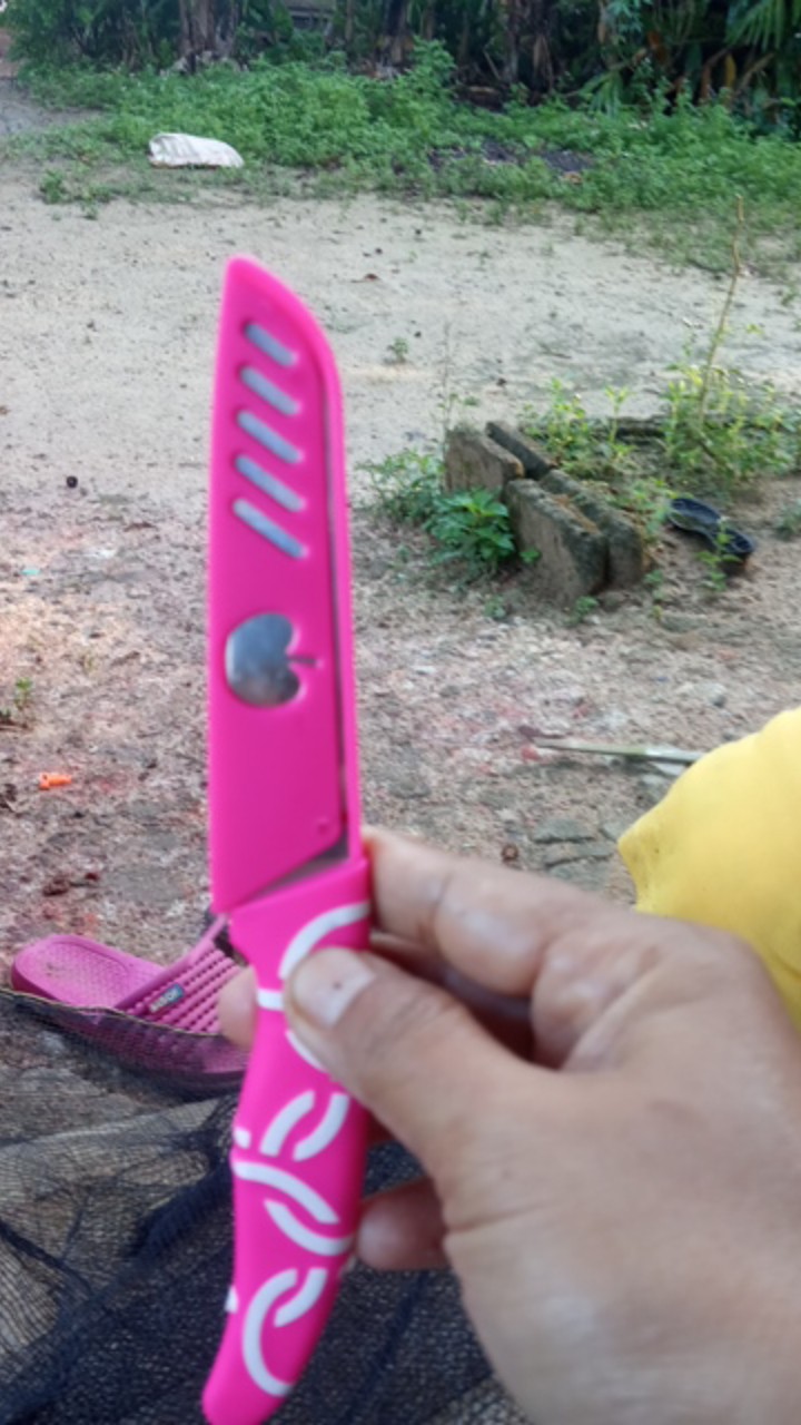 Pisau Apel Pisau Dapur Untuk Potong Buah Dan Sayur Bahan Stainless