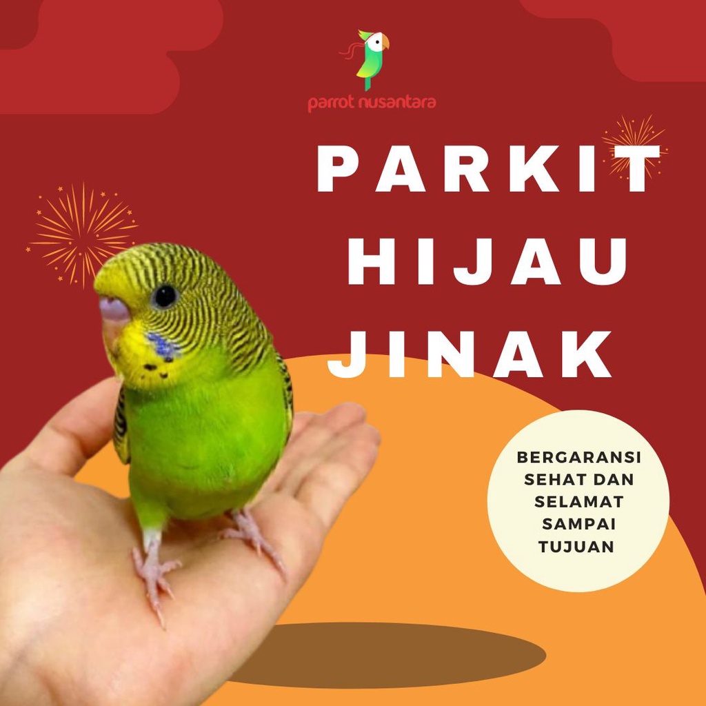 parkit jinak hijau