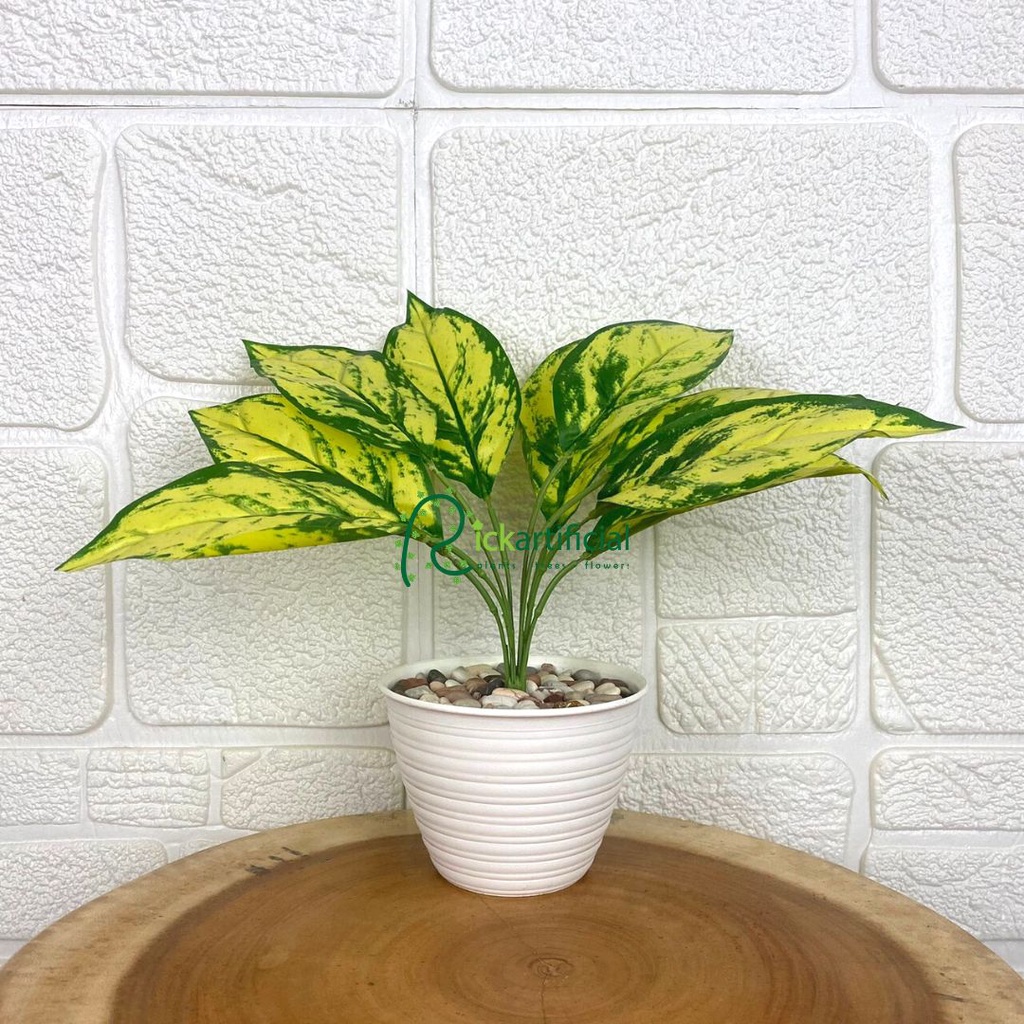 Tanaman Plastik Daun Puring X9 Artificial Pot Tawon D12 Plastik Pohon Hias Dekorasi Pajangan Meja Ru