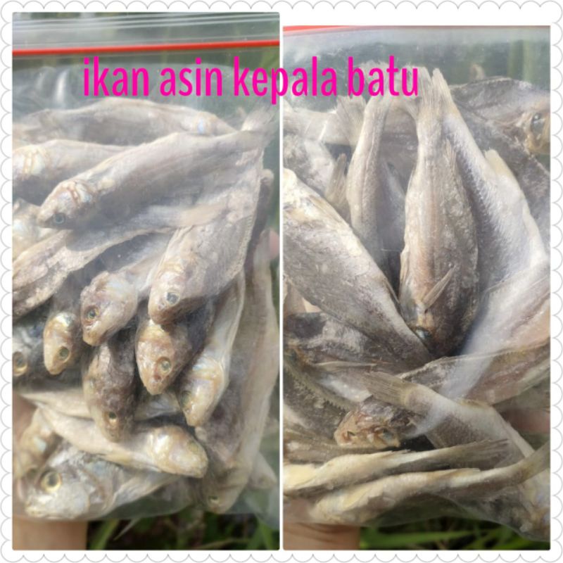

IKAN ASIN KEPALA BATU