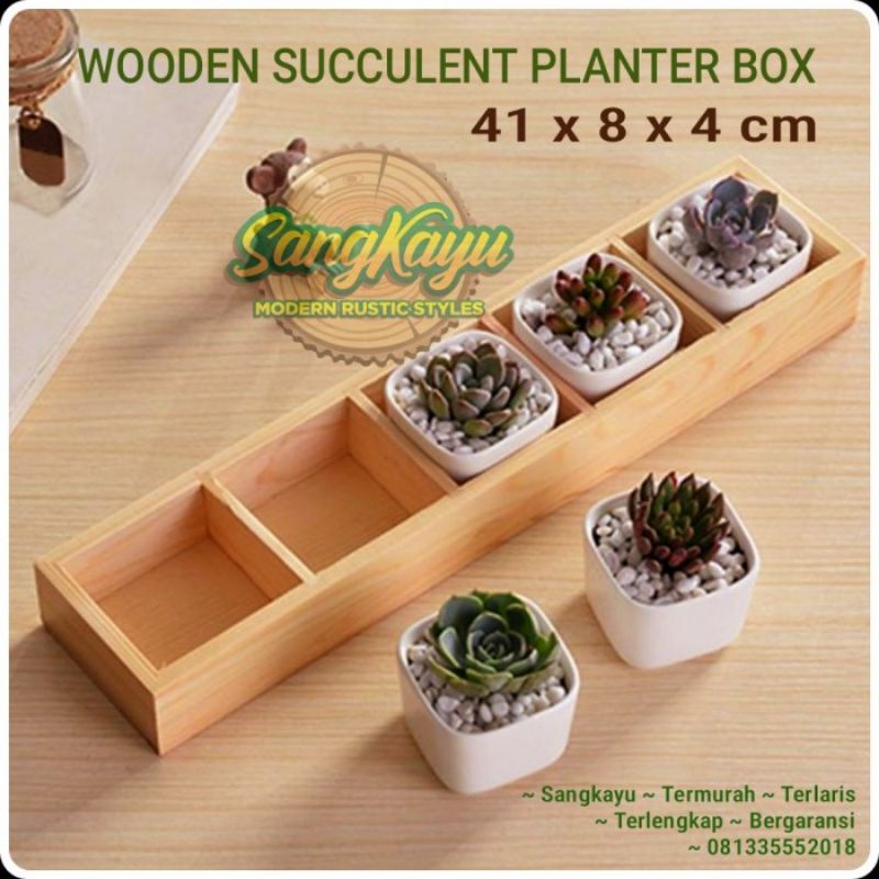 Wood succulent planter box kotak tanaman kaktus pot sukulen kayu