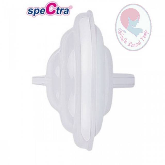 Backflow Spectra / Sparepart Spectra