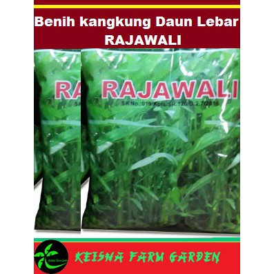 Benih kangkung Daun Lebar RAJAWALI