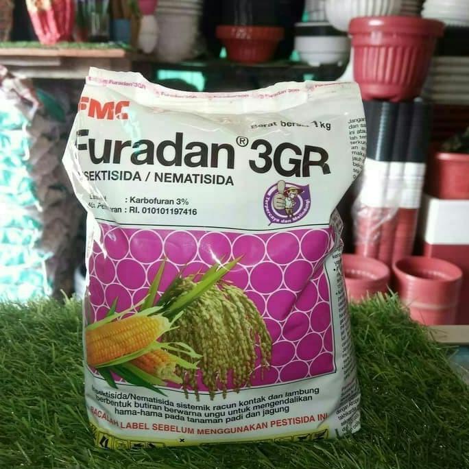 READYY Pupuk Puradan 3gR isi 2Kg SALE