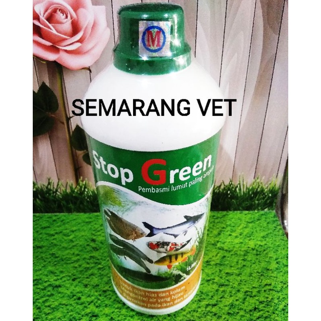 Anti Lumut Kolam Ikan Pembersih Lumut Kolam Ikan Penghilang Lumut Kolam Ikan Pembunuh Lumut STOP GRE
