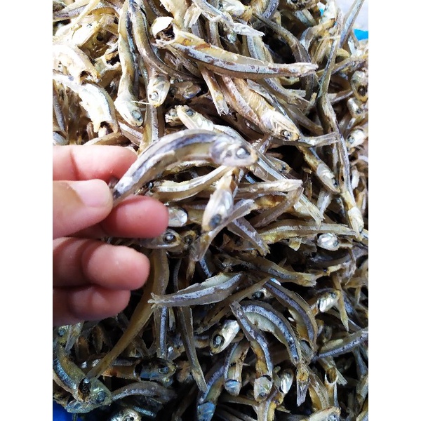 

Teri Mandeh Gadang 100 gr | GRATIS BUBBLE WRAP