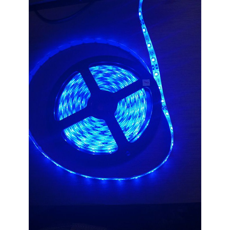 Lampu LED Strip warna panjang 5 meter