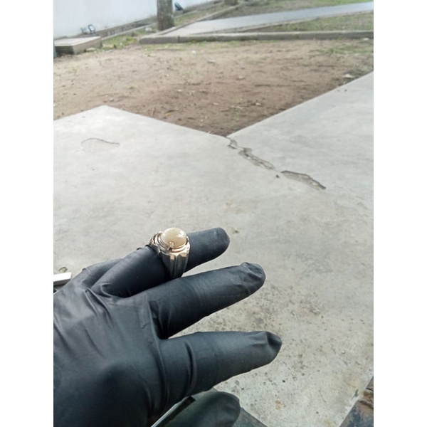 white safir/Takut putih