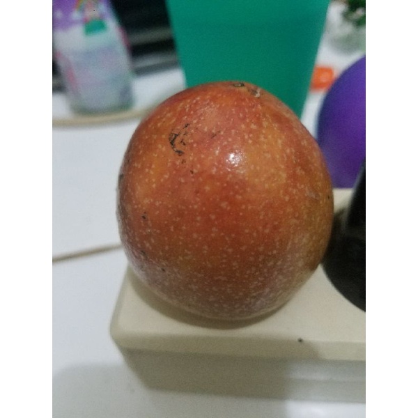 Biji benih Markisa madu ( bukan konyal ) markisa manis