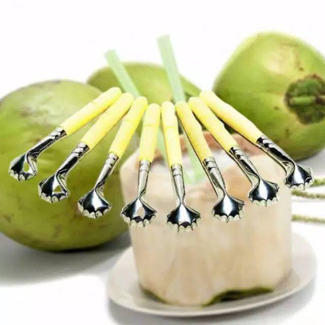 

FREE DUS BUBBLE Serut Kelapa Muda / Serutan Melon