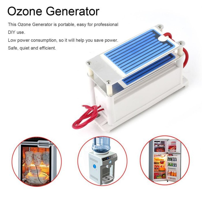 Ozone Generator 10g 10000mg/H Sterilizer Purifier Udara AC 220v ELEMEN