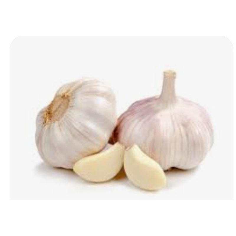 

Bawang putih