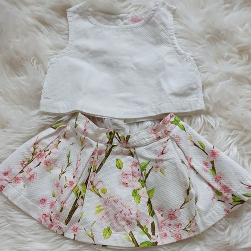 Gingersnaps Top & Skirt Outfit Set sz 6M