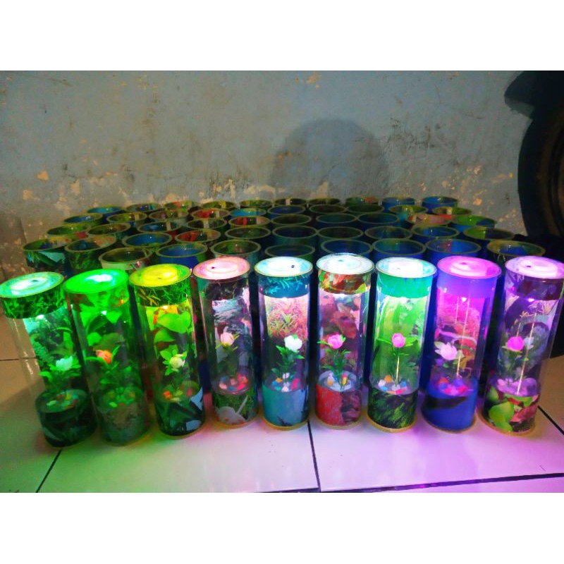 AQUARIUM MINI TABUNG CUPANG GUPPY HIASAN LAMPU KAMAR MURAH✓