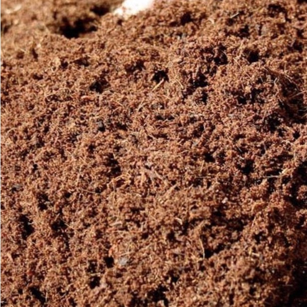 Cocopeat Media Tanam Per Karung Berat Asli 12 Kg