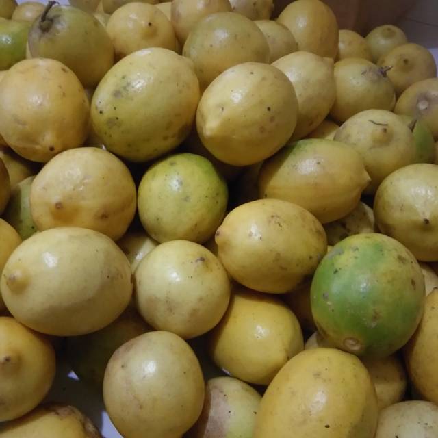 Jeruk lemon lokal 1kg