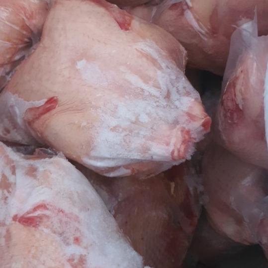 

✤ AYAM NEGERI BROILER (1.0-1.1 KG) ✯