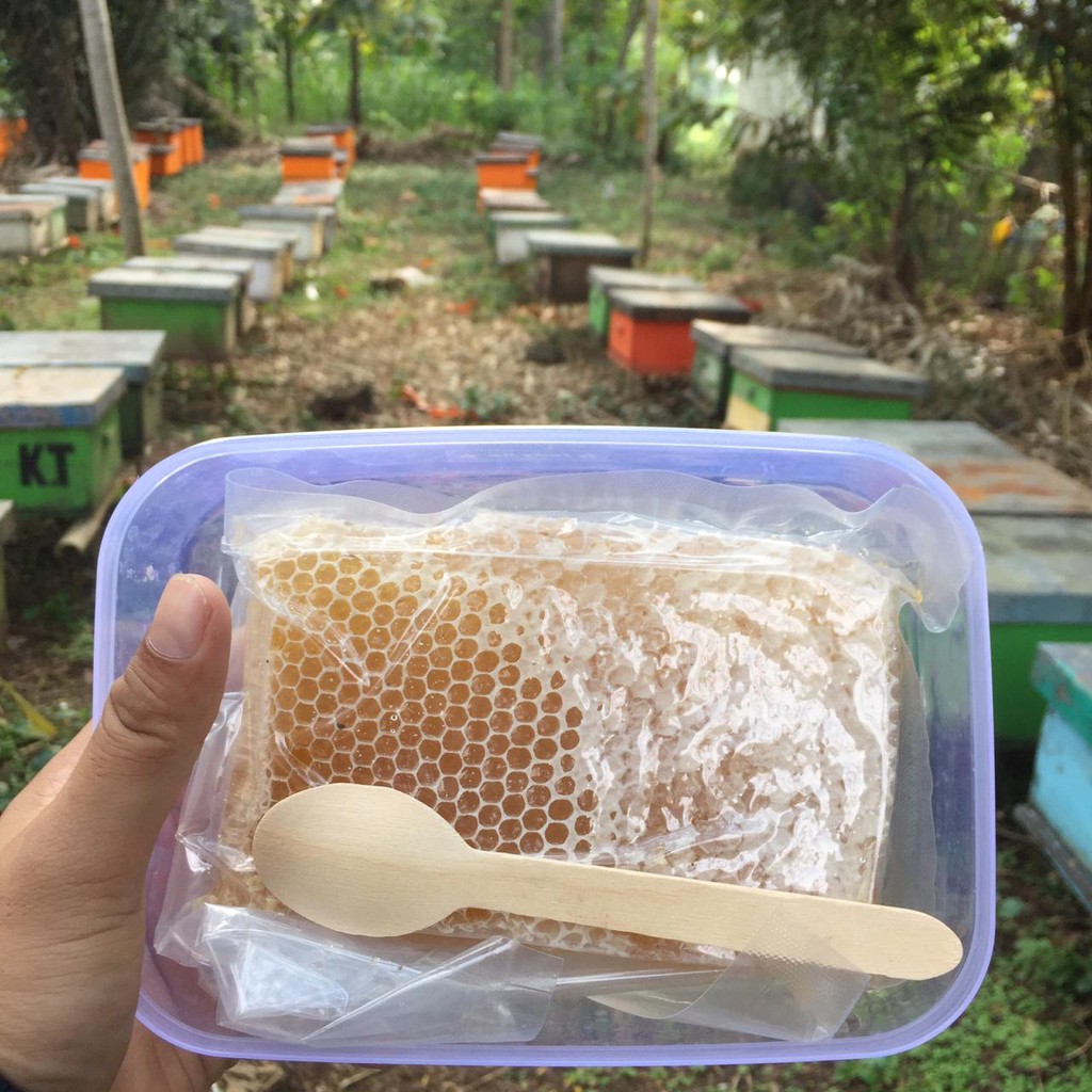 

(500GR) SARANG MADU MELIFERA ASLI / HONEY COMB / MADU SARANG