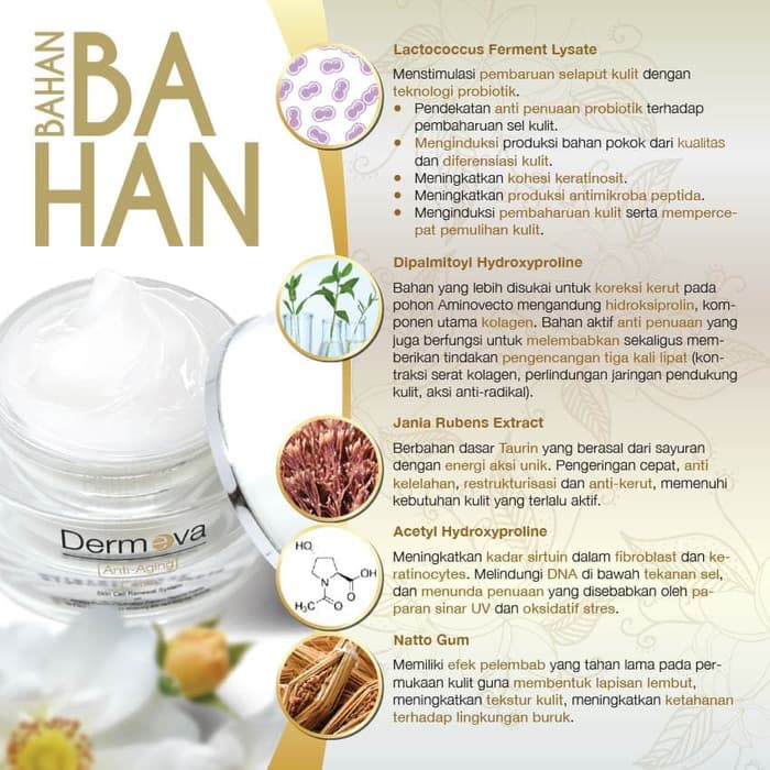 READY ( KEMASAN BARU) DERMEVA ANTI-AGING CREAM