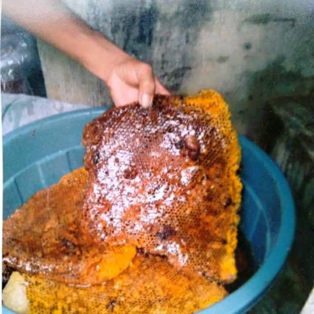 

Madu asli 100% asli
