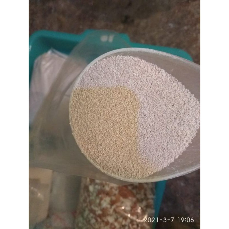 Cangkang Telur Halus