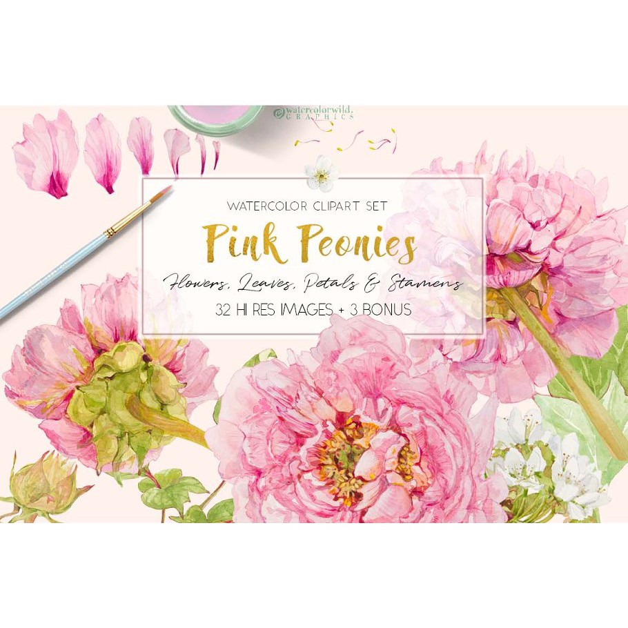 Pink Peonies Clipart Set - JPEG Ultra HD