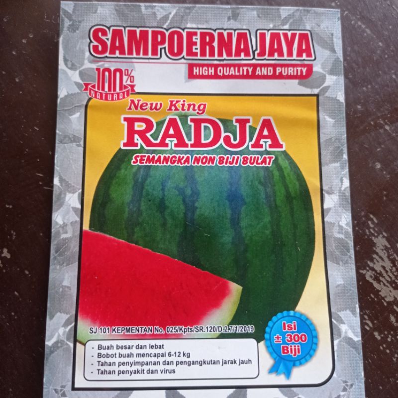 Benih semangka non biji bulat Radja