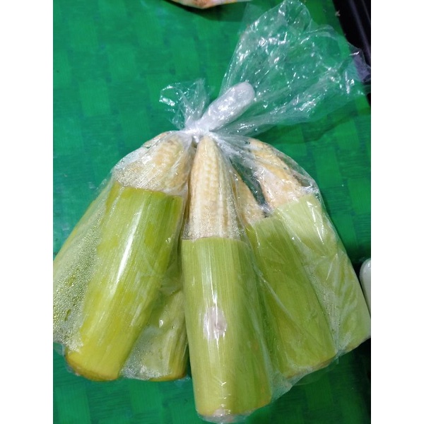 

jagung muda 500gram