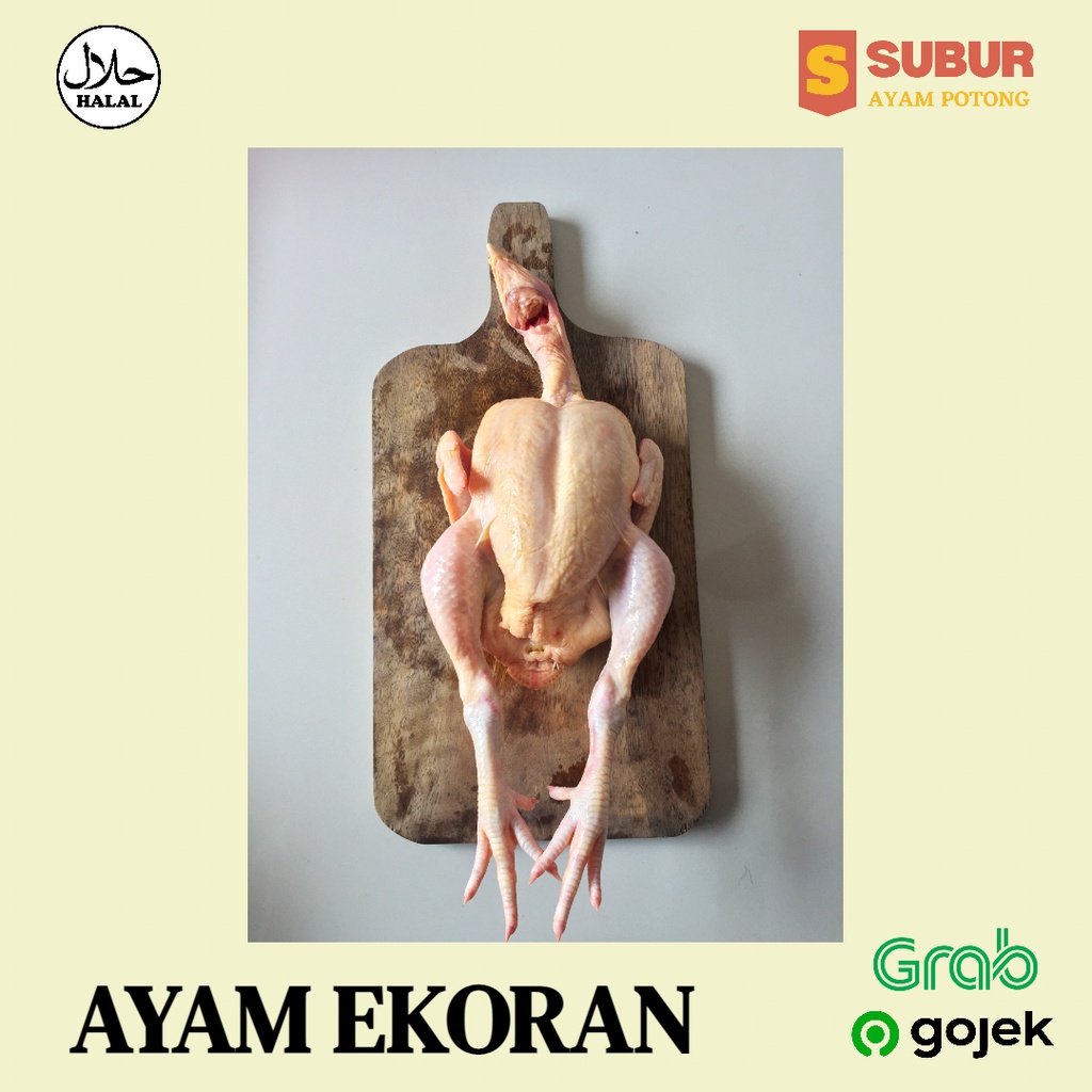 

Ayam Ekoran