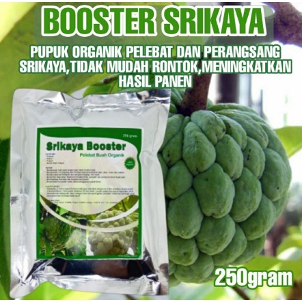 Booster Srikaya , Pupuk organik Srikaya pupuk srikaya organik ampuh