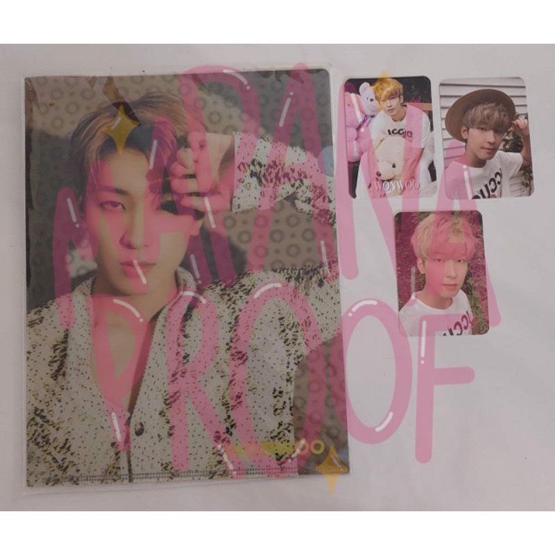 L Holder Dicon Seventeen Wonwoo