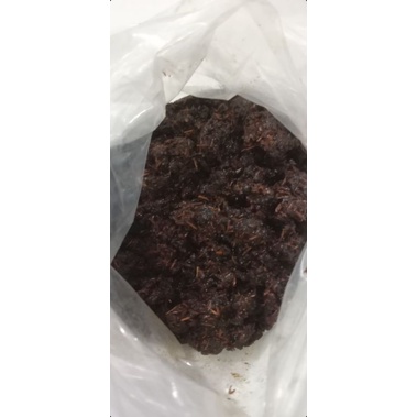 DUPA/ UKUP ARAB SUPER 1KG DUPA BASAH ASLI PEKALONGAN