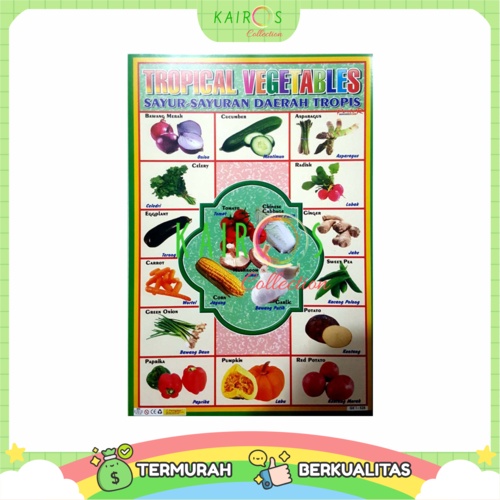 Poster Edukasi Anak Belajar Sayuran Vegetables