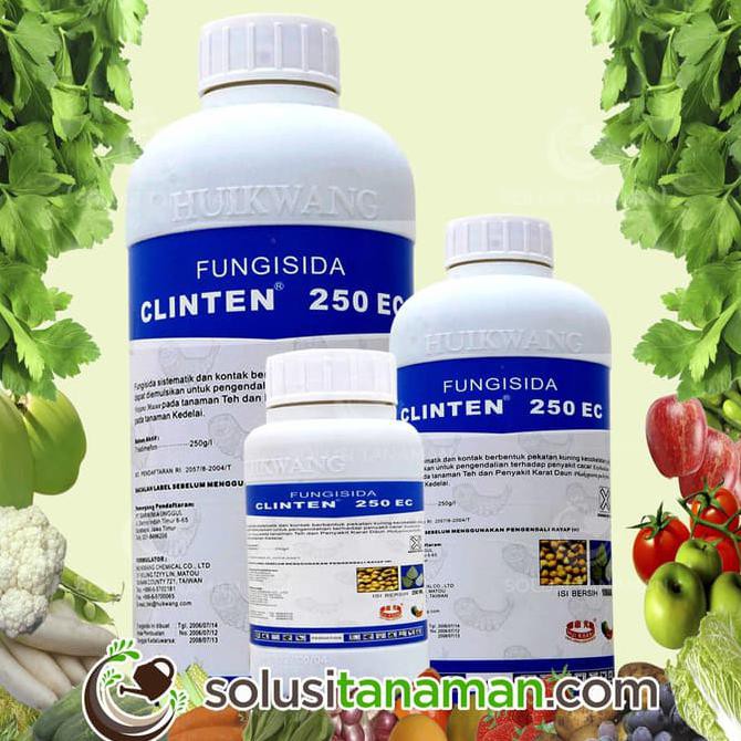Buruan Beli.. Obat Hama Clinten @ 250 Ml Fungisida Pembasmi Hama Jamur Pada Tanaman