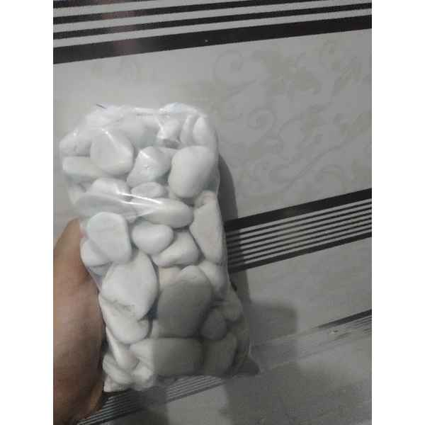 batu coral putih 1kg