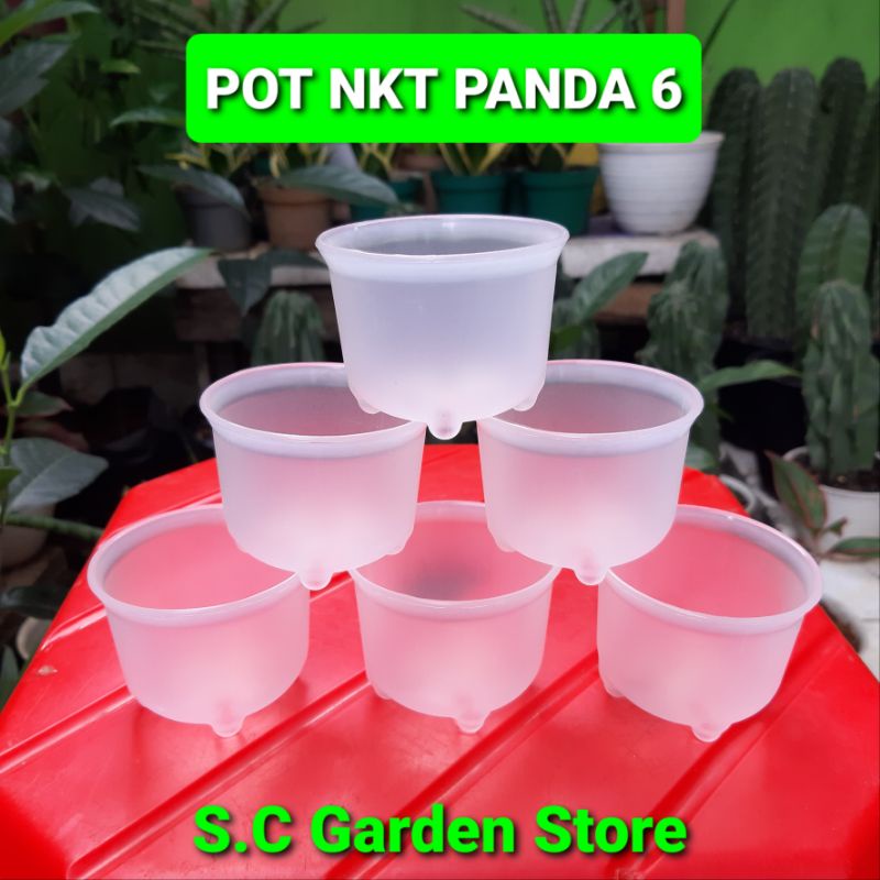 POT BUNGA NKT PANDA 6 WARNA BENING TRANSPARAN | POT TANAMAN KAKTUS / SEKULEN